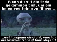 Alien erkennt den irdischen Wahnsinn