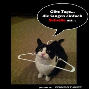 fun-Bild: Manche Tage