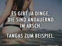 Das ewige Dilemma der Tangas