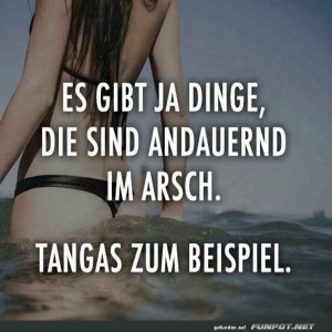 Das-ewige-Dilemma-der-Tangas.jpg von Felia-51