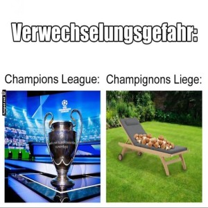 Champions-vs.-Champignons:-Ein-Liege-Lacher!.jpg von Brandon