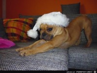 ich geh jetzt schlafen