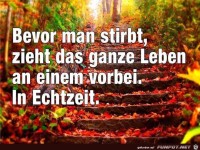 bevor-man-stirbt-zieht-das-ganze-leben-an-einem-vorbei-in-ec