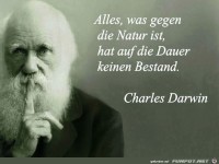 alles-was-gegen-die-natur-ist-hat-auf-dauer-keinen-bestand