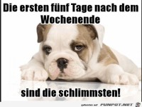 Die ersten fuenf Tage...