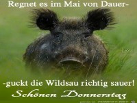 Donnerstag