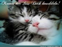 Komm lass dich knuddeln