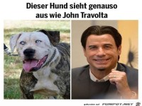 Verbl�ffende �hnlichkeit