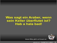 Was sagt ein Araber, wenn sein Keller überflutet ist?