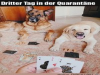 Am dritten Tag in der Quarant�ne