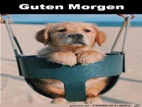 Guten Morgen