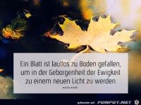 Ein Blatt