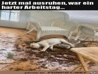 Harter Arbeitstag