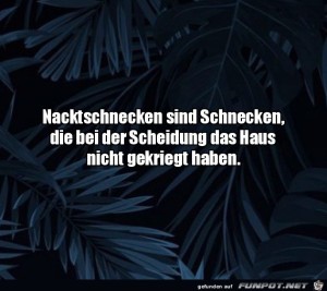 Gute-Erkl�rung-f�rs-fehlende-Haus.jpg auf www.funpot.net