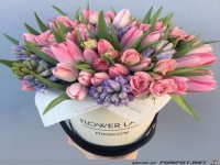 Heute ist ein schner Tag