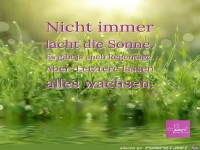 Nicht immer lacht die Sonne