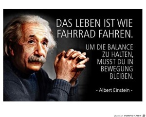 Einstein.jpg auf www.funpot.net