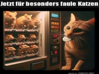 F�r faule Katzen