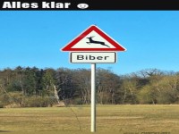 Vorsicht Biber!