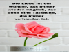 weiter