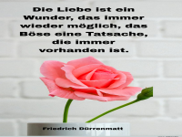die liebe ist ein wunder