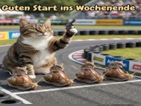 Katzen-Kapit�ne erobern das Wochenende!