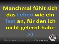 Wenn das Leben zum �berraschungstest wird