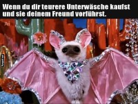 Haute Couture auf tierische Art