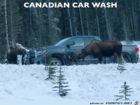 autowaesche-in-kanada