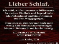 Lieber Schlaf...
