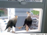 What-did-they-just-shake-on