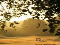 fuer Bildgenerator freigegeben 000000