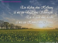 ein leben ohne Hoffnung