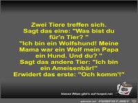 Zwei Tiere treffen sich