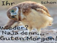Guten Morgen