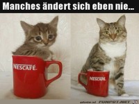 Manches �ndert sich nie