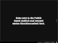 Gehe jetzt in die Politik