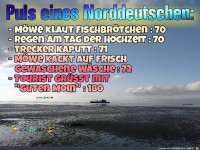 Norddeutscher Puls