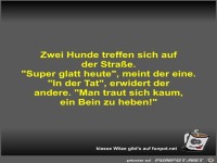 Zwei Hunde treffen sich auf der Straße