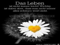 Das Leben ist nicht immer leicht