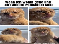 Andere Menschen sind auch da