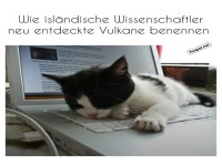 Schlafende Katze auf Laptop