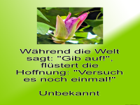 w�hrend die welt sagt
