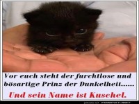 Gef�hrliche Katze