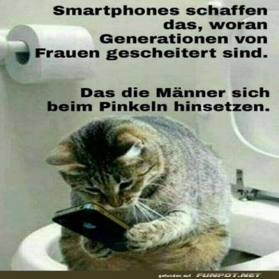 Katzen-und-das-Geheimnis-der-Technologie.jpg von Roger05