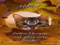 Bl�tterk�nig gr��t zum Morgen