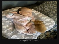 Kuschelige Abenteuer im Traumland