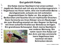 Gut gebr�llt Katze