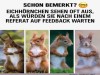 weiter