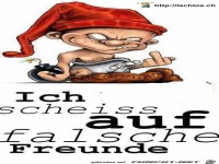 falsche Freunde